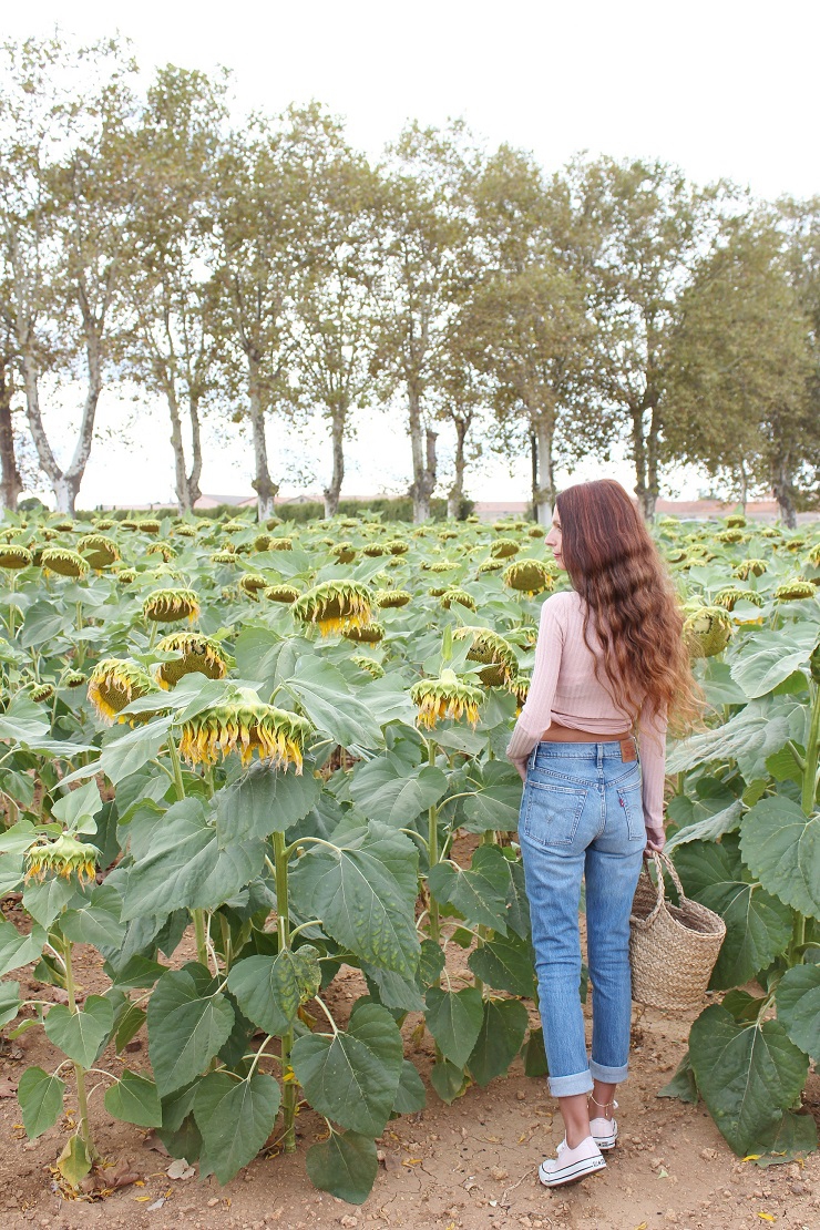 blog au pays de candy,blog mode,blog mode montpellier,sheinside,levis vintage,levis,levis501,levis skinny,converse,tenue avec panier