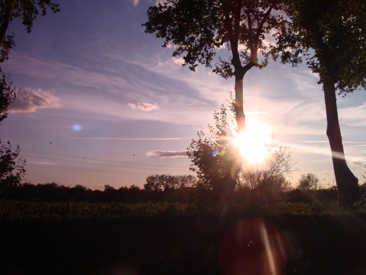 DSC09354.JPG